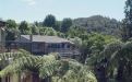 a group of palm trees with a building in the background