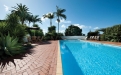 a pool next to a palm tree