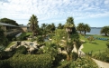 a group of palm trees next to a tree