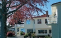 a tree in front of a house