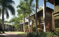 a palm tree in front of a building