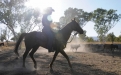 a person riding a horse in the dirt