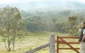 a man standing next to a fence