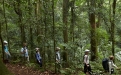 a group of people in a forest