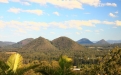 a tree with a mountain in the background