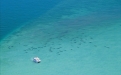 a group of people swimming in a pool of water