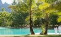 a group of palm trees next to a body of water