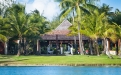 a pool next to a palm tree