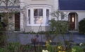 a yellow flower in front of a house