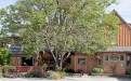 a tree in front of a house