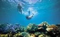 underwater view of a large rock