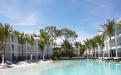 a pool next to a palm tree