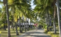 an empty park bench next to a palm tree