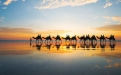 a group of people riding horses on a beach