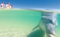 a person standing next to a body of water