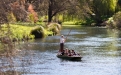 a person riding on the back of a boat in the water