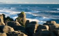 a flock of seagulls standing on a rock near the ocean