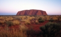 a close up of a dry grass field with Uluru in the background