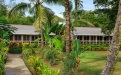 a palm tree in front of a house