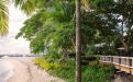 a bench next to a palm tree sitting next to a body of water