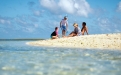 a group of people on a beach