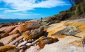 a rocky beach next to the rock