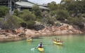 a group of people riding on the back of a boat in the water