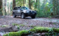 a car parked on pavement near a forest