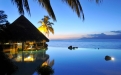 a group of palm trees next to a body of water