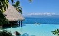 a group of palm trees next to a body of water