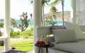 a living area with palm trees