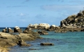 a group of people on a rocky beach