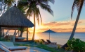 a group of palm trees on a beach near a body of water