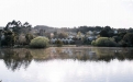 a body of water surrounded by trees