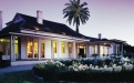 a group of palm trees in front of a house