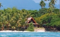 a group of palm trees next to a body of water