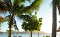 a beach with a palm tree in front of a body of water