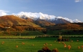 a group of people in a field with a mountain in the background