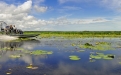 a small boat in a body of water