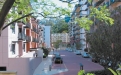 a city street lined with trees