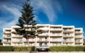 a palm tree in front of a tall building