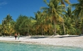 a group of people on a beach with palm trees