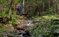 a man standing on a rock in the middle of a forest