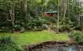 a close up of a lush green forest