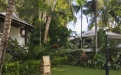 a house with a palm tree