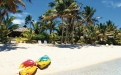 a beach with a palm tree