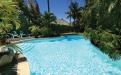 a group of palm trees next to a pool of water