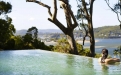 a tree next to a body of water