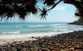 a group of palm trees on a beach