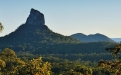 a tree with a mountain in the background